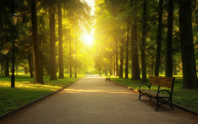 Food Sensitivities, Gut Health & Chiropractic Care for Kids