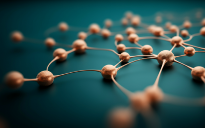 The Sympathetic Nervous System and Childhood Health