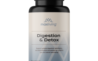 Digestion & Detox