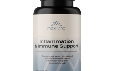 Inflammation & Immune Support