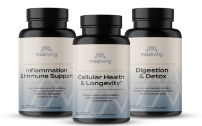 The Foundational 3 Bundle