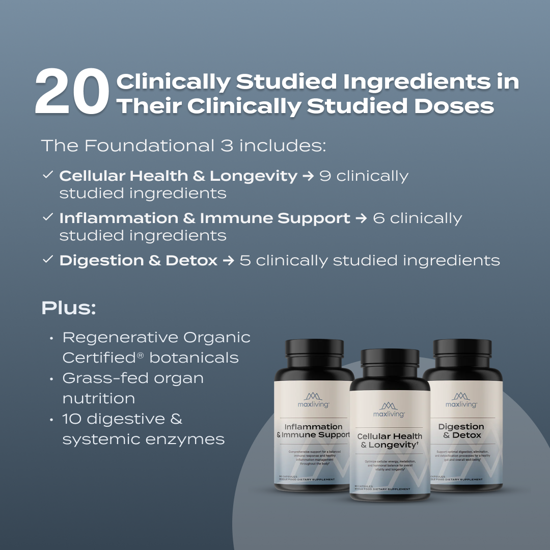 The Foundational 3 Bundle - Image 2