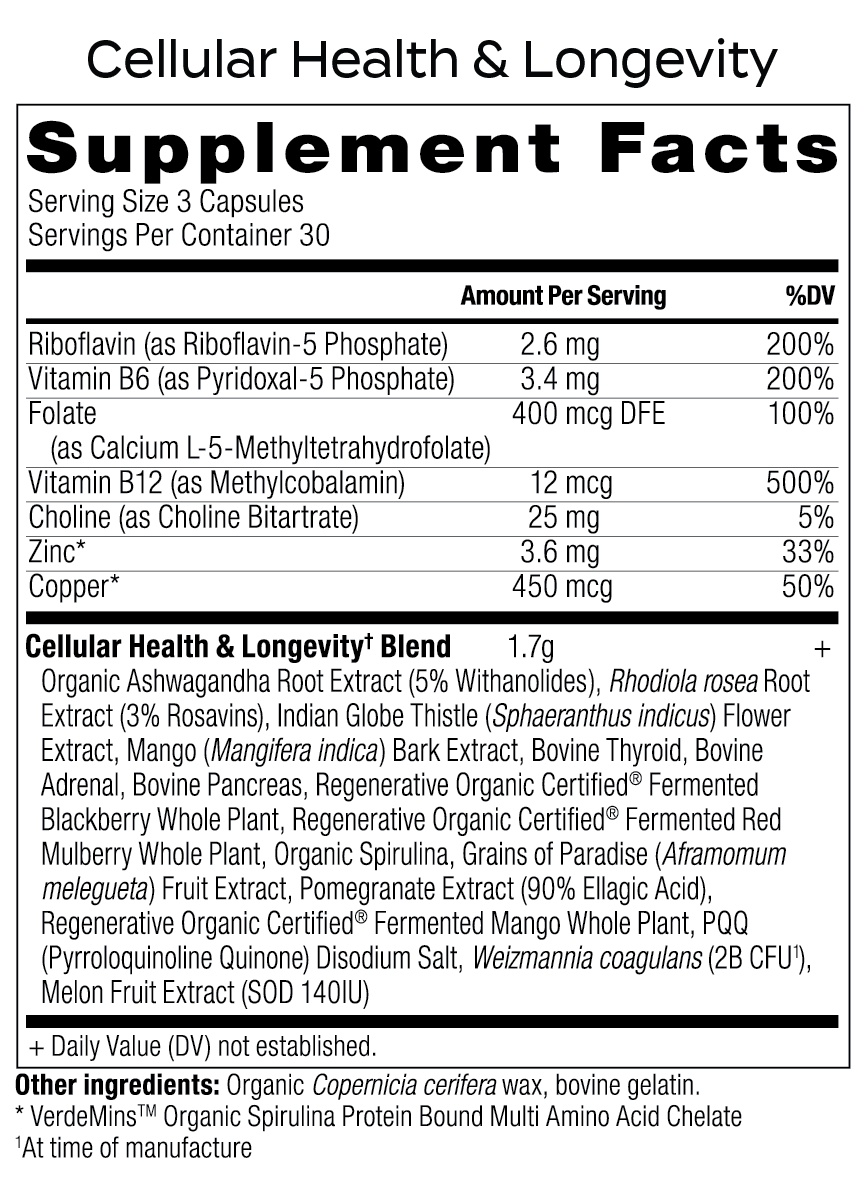 The Foundational 3 Bundle - Image 4