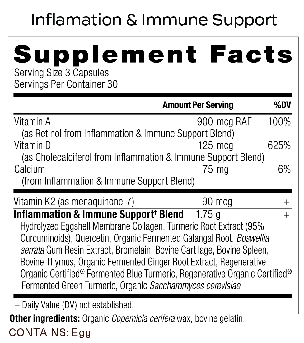 The Foundational 3 Bundle - Image 5