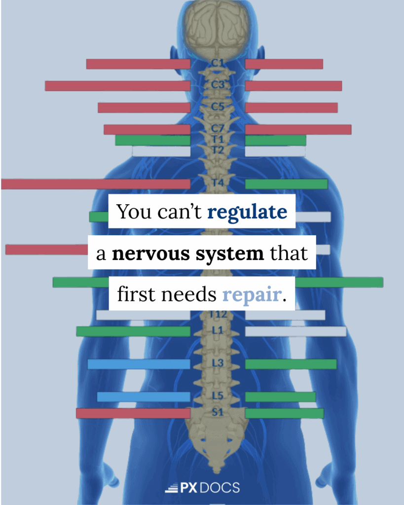 Infografía que explica que la reparación del sistema nervioso debe ser anterior a la regulación. | PX Docs